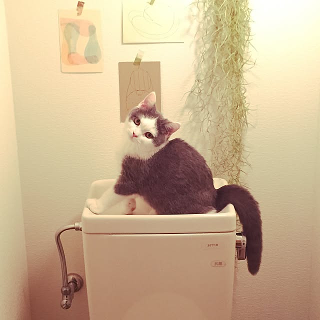 yunさんの実例写真
