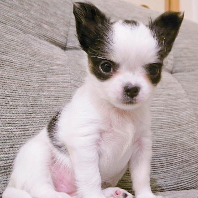 Shunsukeさんの実例写真
