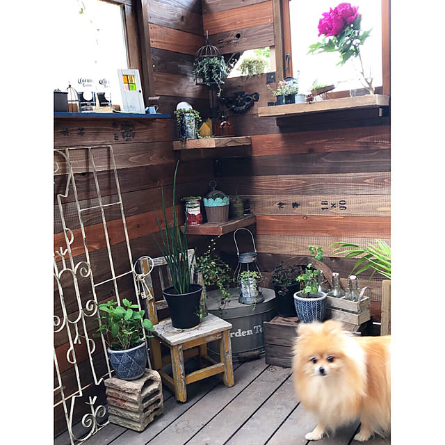 naho81078さんの実例写真