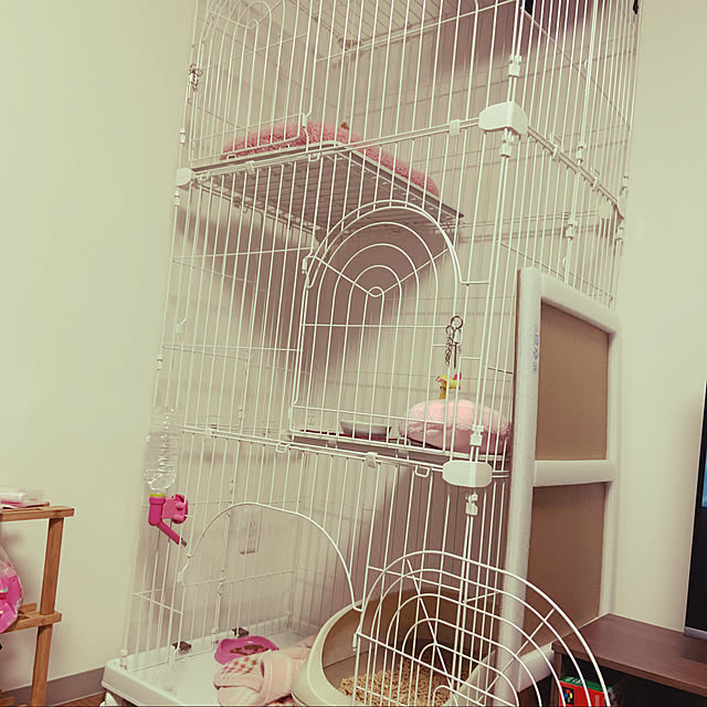 wakko6さんの実例写真