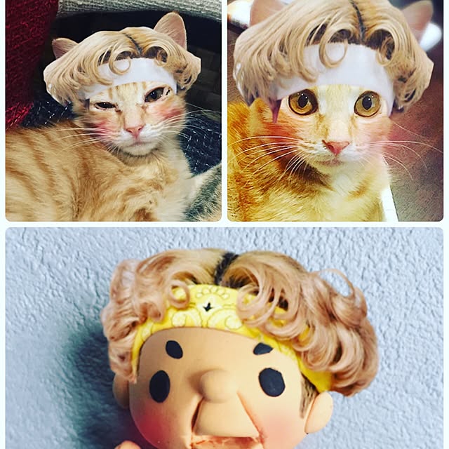 moriyamanekoさんの実例写真