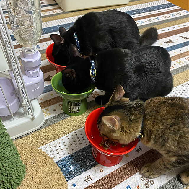 prelumoさんの実例写真