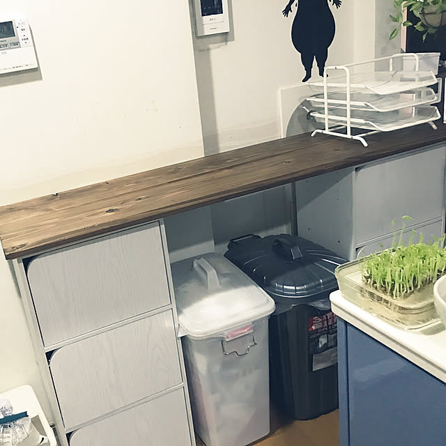 neoさんの実例写真