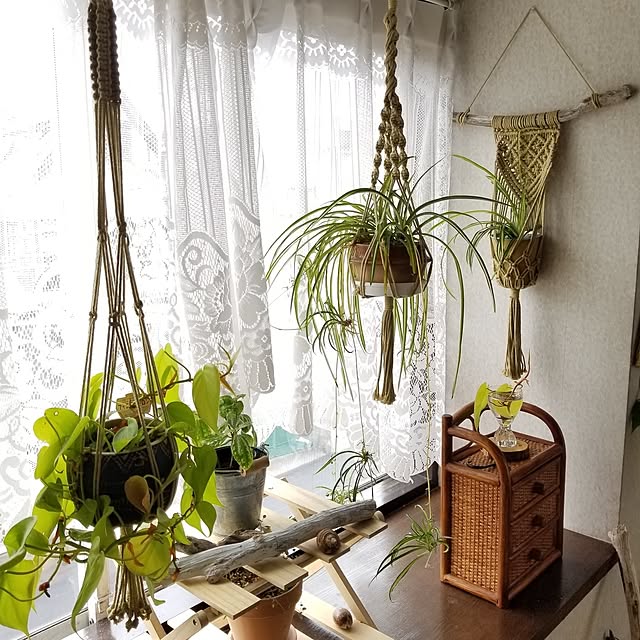 midoriさんの部屋