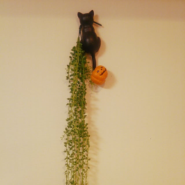 壁/天井/ハロウィン/シンプル/植物/NO GREEN NO LIFE...などのインテリア実例 - 2015-09-20 22:57:02