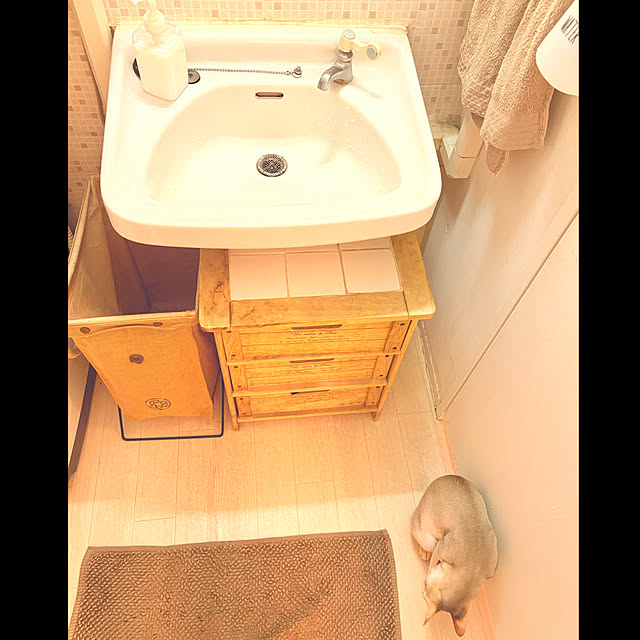 noriさんの実例写真