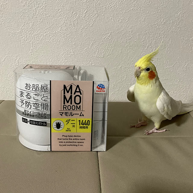 toratanさんの実例写真
