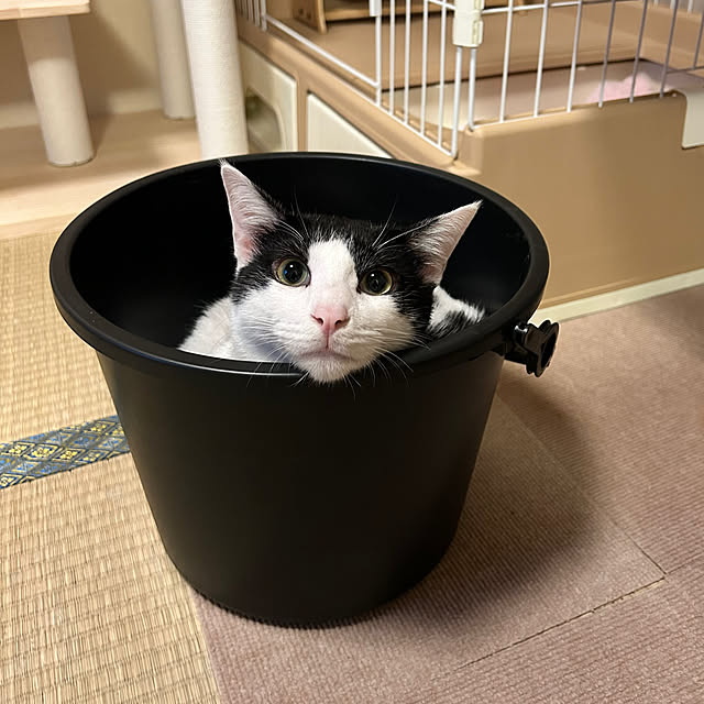 narikoさんの実例写真