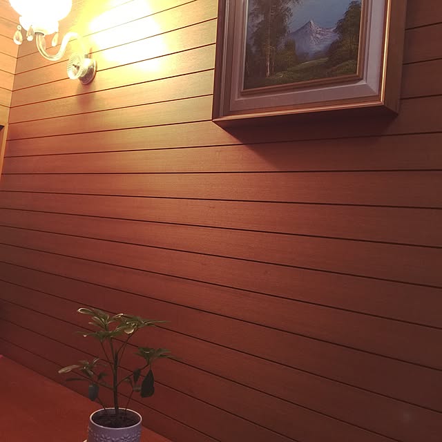 玄関/入り口/観葉植物/照明のインテリア実例 - 2014-12-12 20:41:58