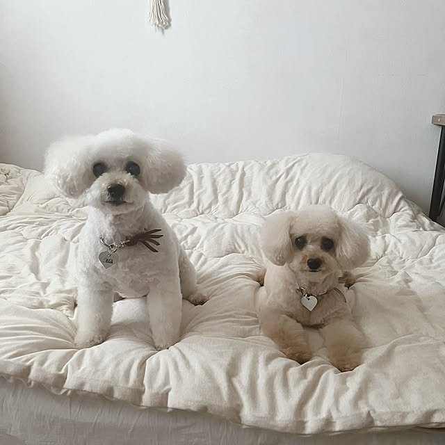 akko1205さんの実例写真
