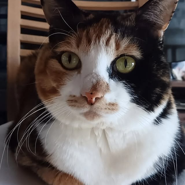 aiさんの部屋