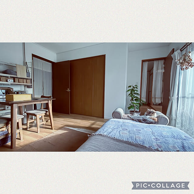+CHIHARU+さんの実例写真