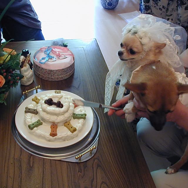 Sangoさんの実例写真