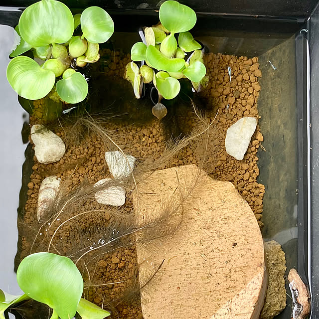 bambiさんの部屋
