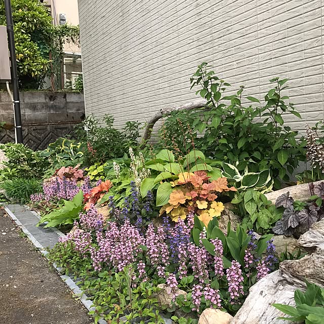 pepeさんの実例写真
