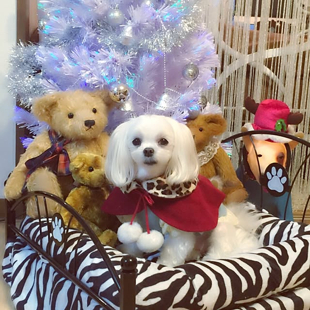 Sonokoさんの実例写真