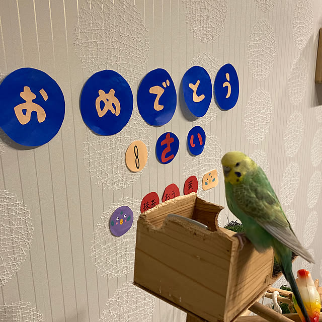 toratanさんの部屋