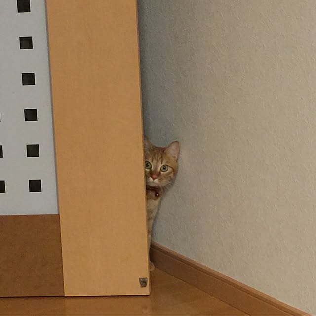hanaさんの実例写真
