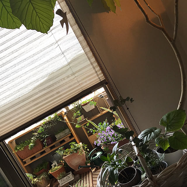 cagosukiさんの実例写真