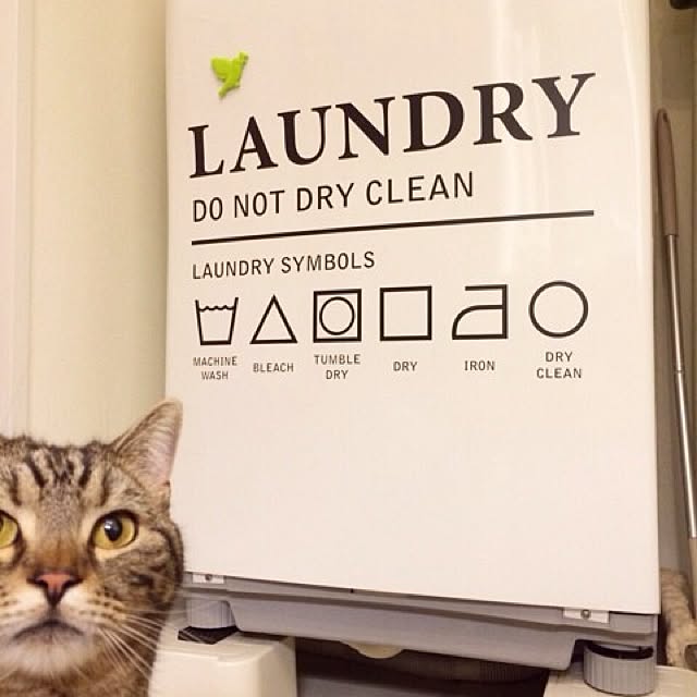 mikomaruさんの実例写真