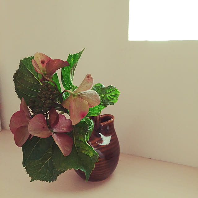 forestさんの実例写真