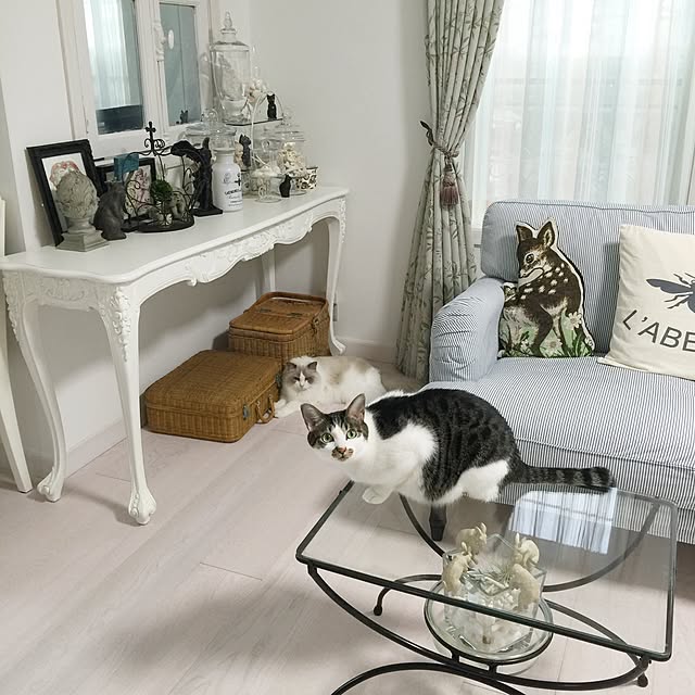 yuchiさんの実例写真