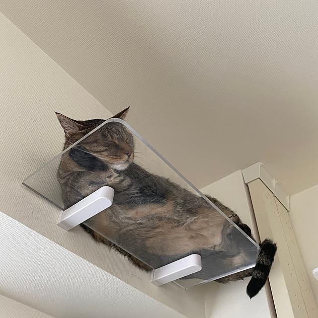 mikomaruさんの実例写真