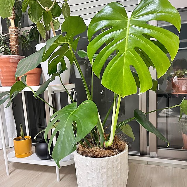 HITOさんの部屋