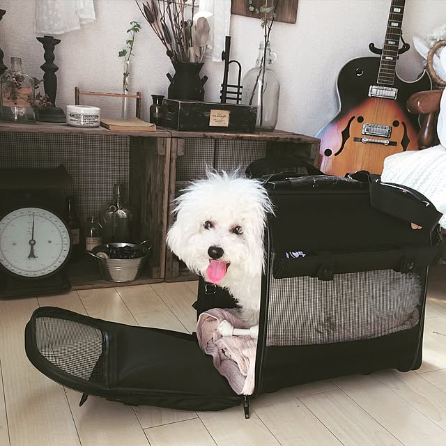 happy_bridgeさんの実例写真