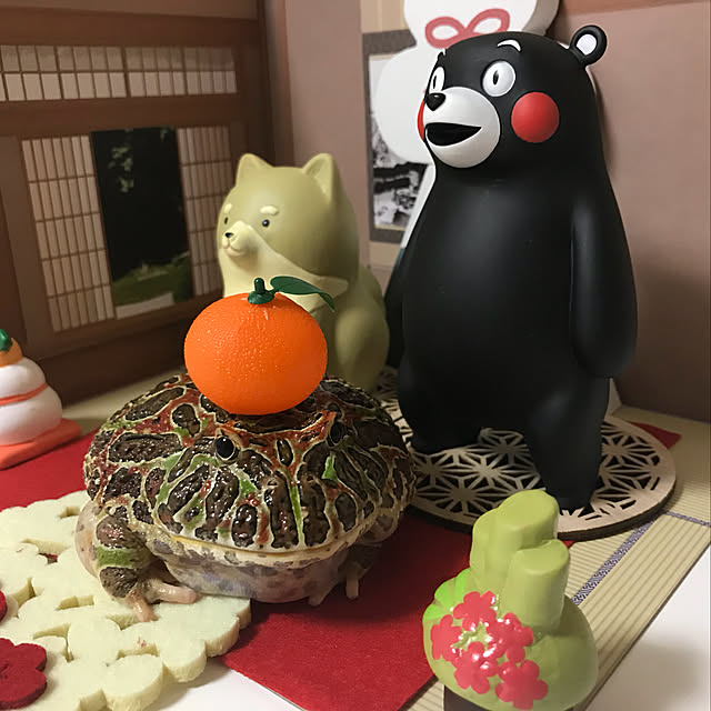 Megumiさんの実例写真