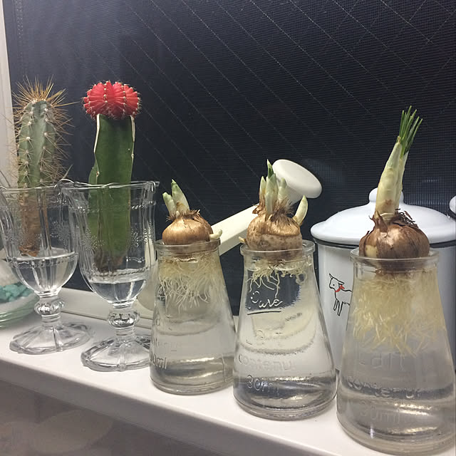 実例写真