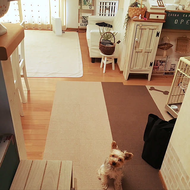 mayuoさんの実例写真