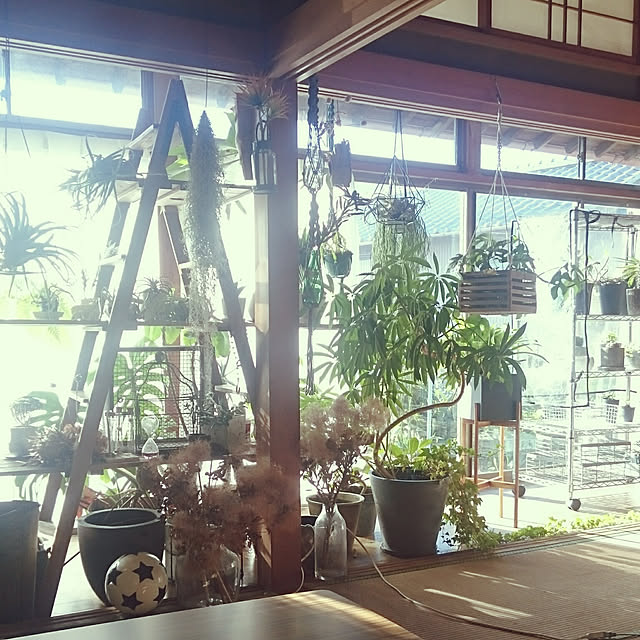 takenさんの実例写真