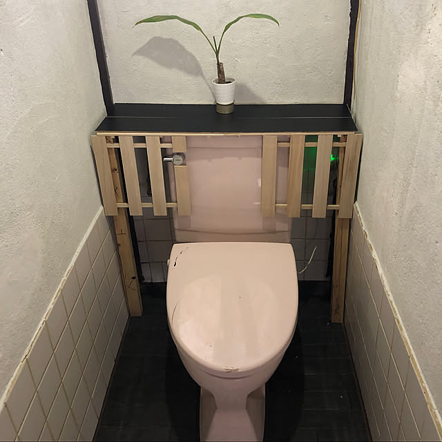 Reiさんの実例写真