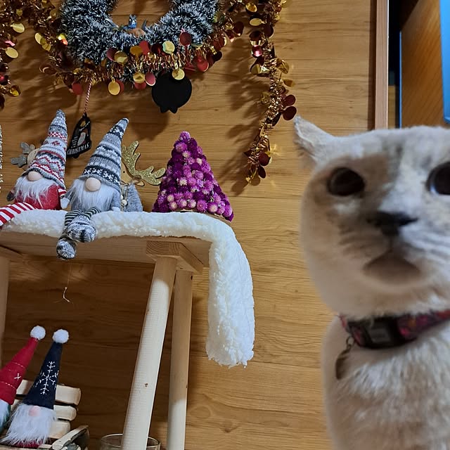 kiyohima229さんの実例写真