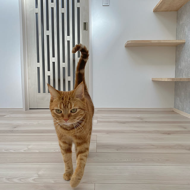 a_roomさんの実例写真