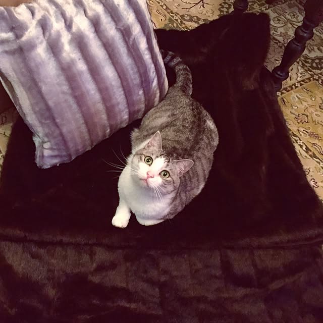 emmyyさんの実例写真