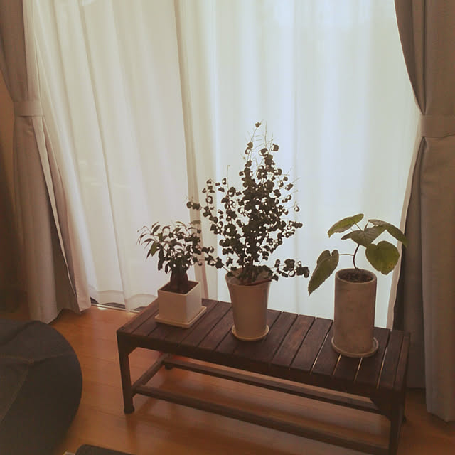nashoさんの実例写真