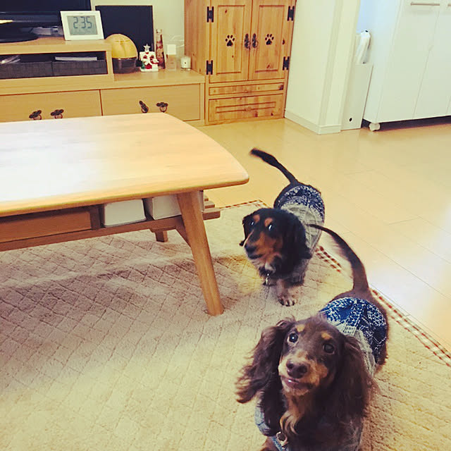 polonさんの実例写真
