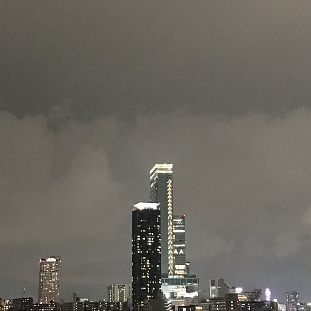 実例写真