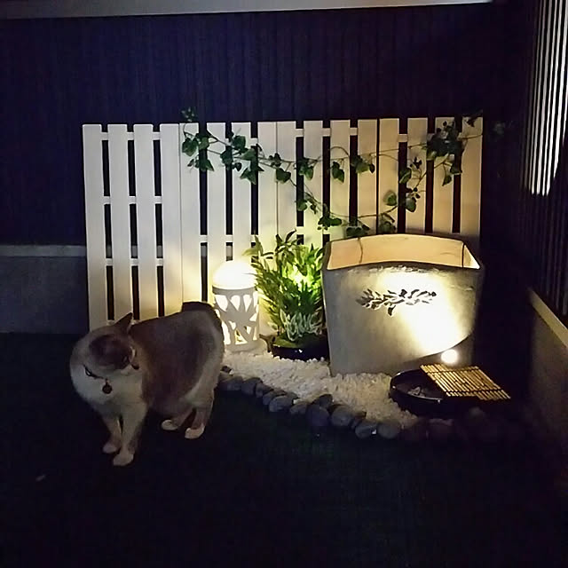 bonkiyoさんの実例写真