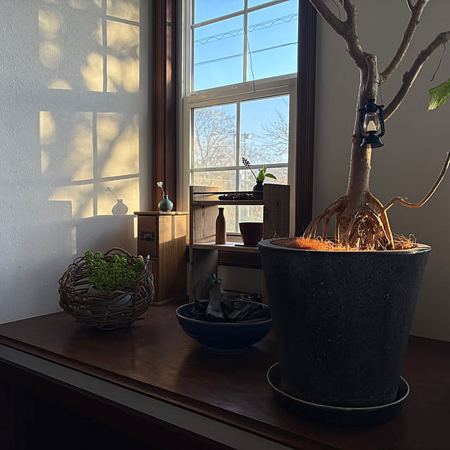 nana77さんの部屋