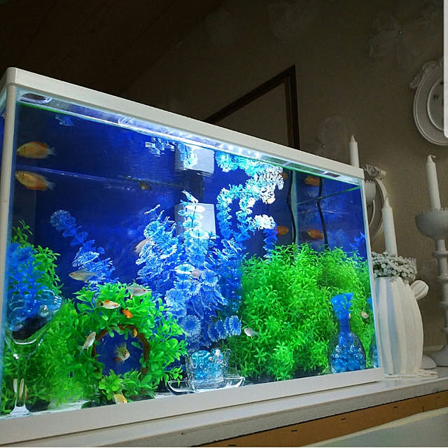 ...t_m_eee...さんの実例写真