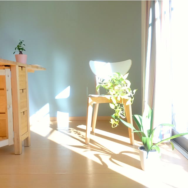 Asaminさんの実例写真
