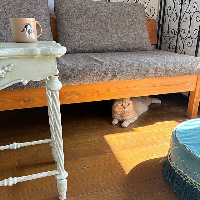 naokoさんの部屋