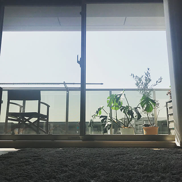 arinonさんの実例写真