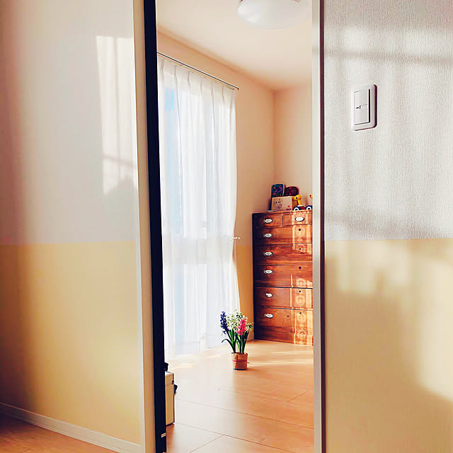 niko3さんの実例写真