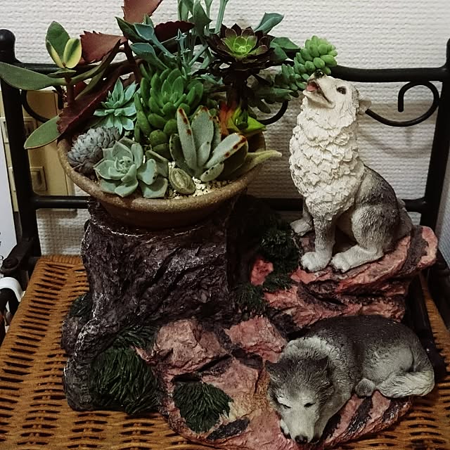 実例写真
