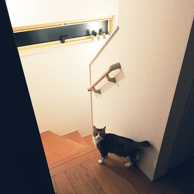 Holさんの実例写真