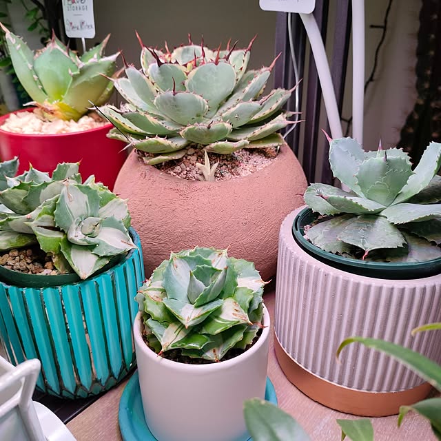 nacchanさんの部屋